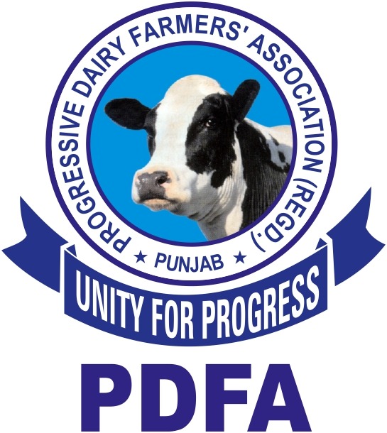 Logo_PDFA